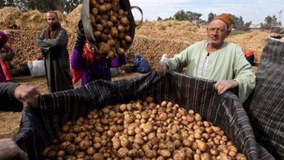 نشرة الاقتصاد.. وأبرزها: أسباب تراجع أسعار البطاطس.. وأعلى شهادات الادخار بين البنوك