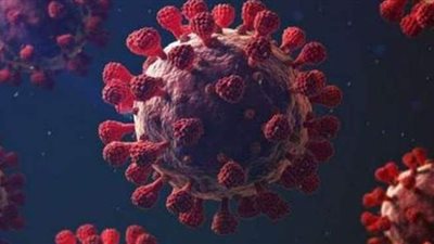 كارثة.. اكتشاف أنواع كورونا جديدة في الإكوادور مختلفة عن السلالة البريطانية