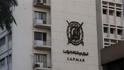 الإحصاء: 0.8٪ زيادة فى مساحة الزمام الزراعي