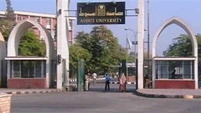 ٢٦٦ طالبا بجامعة أسيوط يتنافسون على ٣٨ مقعدا لرئيس الاتحاد ونائبه