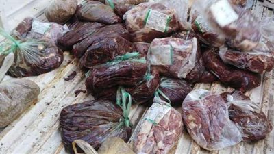 ضبط جراكن خل وكاتشب وكبدة فاسدة لحملة تموينية بطنطا