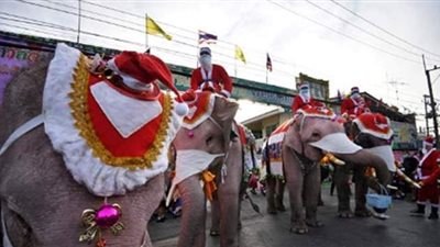 بابا نويل يوزع الكمامات في تايلاند علي ظهر فيل | صور