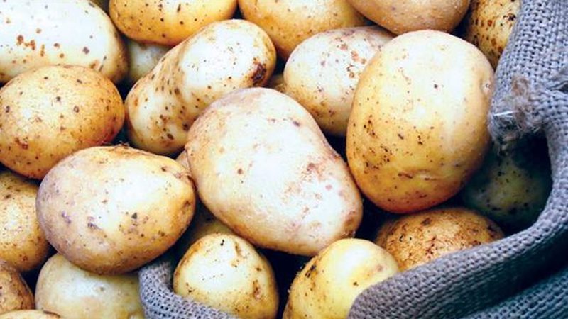 بطاطس - أرشيفية