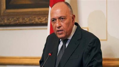 وزير الخارجية يؤكد تطلع مصر للاستمرار في تعزيز التعاون مع باكستان