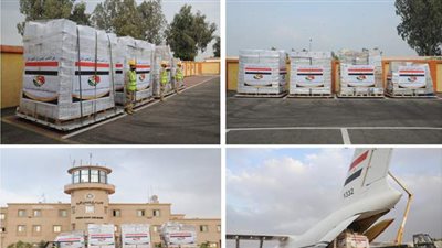 مصر ترسل مساعدات طبية وإنسانية لدولة مالي | فيديو