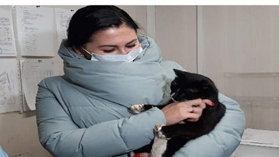 بعد إنقاذه من مكب نفايات.. تعيين قط روسي 