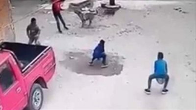 ديسمبر شهر ظهور السلعوة.. الطب البيطري: التعامل بالخرطوش للتخلص منها.. وموسم التزاوج سبب الانتشار | فيديو