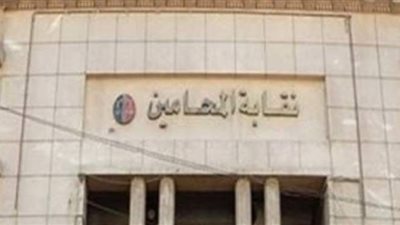 اليوم.. نظر دعاوى وقف انتخابات النقابات الفرعية للمحامين
