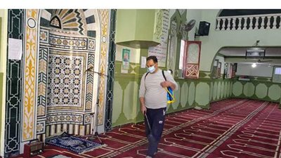 حملات تعقيم وتطهير للمساجد عقب صلاة الجمعة في البحيرة | صور