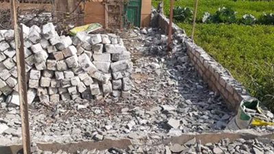 استمرار إزالة التعديات حفاظا على الرقعة الزراعية بالمنوفية | صور