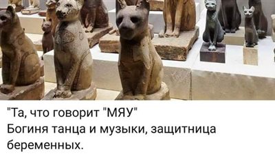 سائحة أوكرانية تروج لمدينة ومتحف شرم الشيخ على 