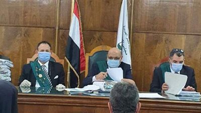 الإدارية العليا : ٦ مبادئ تحظر العمل السياسي في الجامعات والمعاهد والوظيفة العامة