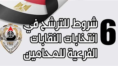 6 شروط للترشح في انتخابات النقابات الفرعية للمحامين|إنفوجراف