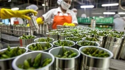 مصطفى النجاري: التصنيع الزراعي يعطي عمرًا أطول لتخزين السلع