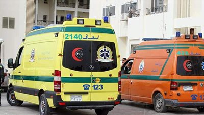 فكهاني يطعن آخر بمطواة في الدقهلية