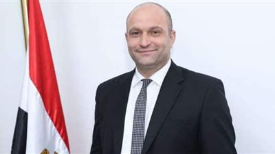 النائب أحمد رمزي: ملفا التعليم والصحة أبرز أولوياتي بالمجلس