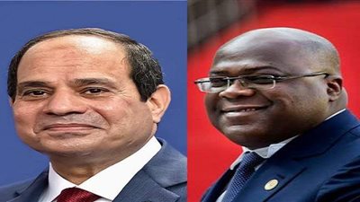 السيسي يبحث مع 