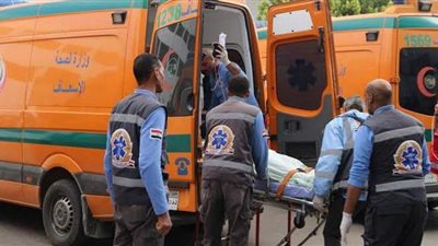 إصابة 8 أشخاص في انقلاب سيارة بالوادى الجديد