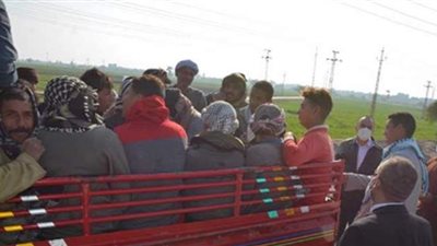 ضبط سيارتين مخالفتين للإجراءات الوقائية لمواجهة كورونا بالمنيا