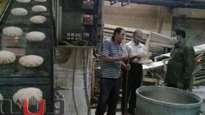 تحرير 104 محاضر وضبط 165 طن أسمدة ومبيدات حشرية مجهولة المصدر بالمنوفية