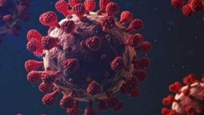 دولة عربية جديدة تسجل إصابتين بسلالة كورونا الجديدة