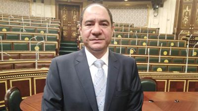 النائب إيهاب أنيس: قضايا الصحة والتعليم على رأس أولوياتي