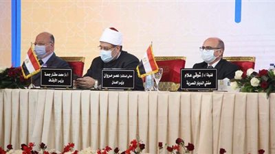 رئيس المحكمة الدستورية: من أحب مصر أحبه الله