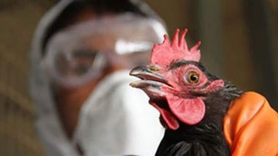 كوريا الجنوبية ترصد حالة إصابة شديدة العدوى بإنفلونزا الطيور