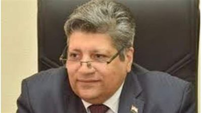 خطة التنمية المحلية لمواجهة احتفالات رأس السنة