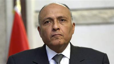 وزير الخارجية يبحث مع نظيره الياباني سبل التعاون المشترك