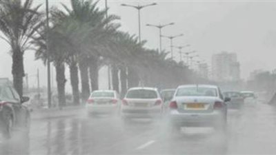 أمطار خفيفة وشبورة كثيفة.. الأرصاد تعلن طقس الغد