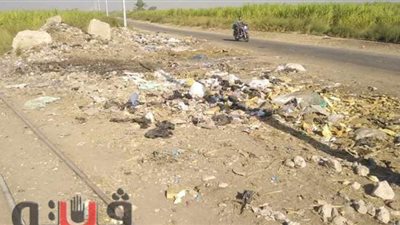 رئيس مدينة أرمنت يستجيب لشكوى مواطن برفع الحيوانات النافقة | صور