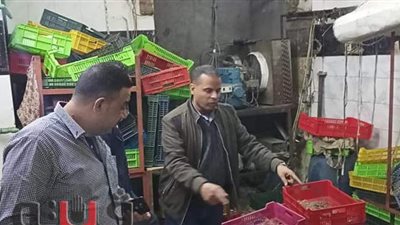 ضبط مجزر دواجن غير مرخص بجنوب الجيزة | صور