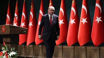 ثورة مطاريد القصر.. أصدقاء أردوغان يفضحون أسرار السلطان