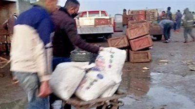 ضبط نصف طن أسماك محظور صيدها في حملة علي الشوادر بالمطرية