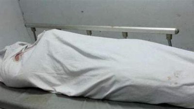 تفاصيل جديدة في واقعة ذبح ربة منزل وطفلها بشبر الخيمة