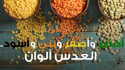 أخضر وأصفر وبني وأسود.. العدس ألوان | فيديو جراف