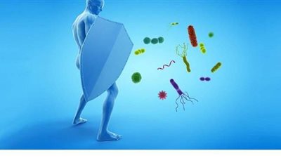 7 أنواع فاكهة تقوى المناعة ضد كورونا..اعرفى شروط تناولهم