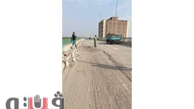 تقليم أشجار شارع مراد ورفع الأتربة من كوبري القصبجي بالمنيب في الجيزة | صور