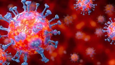 العليا للفيروسات: مصر حاليا في بداية ذروة كورونا | فيديو