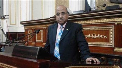 نائب: الالتزام بإجراءات مواجهة كورونا مهم لعدم انتشار العدوى