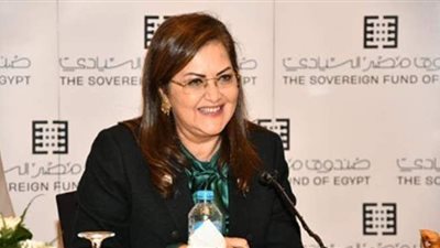 تفاصيل حصاد التخطيط في 2020.. أبرزها دعم العمالة غير المنتظمة