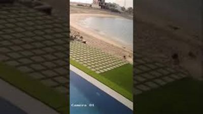 لحظة هجوم كلاب ضالة على فتيات بأحد شواطئ الكويت (فيديو)