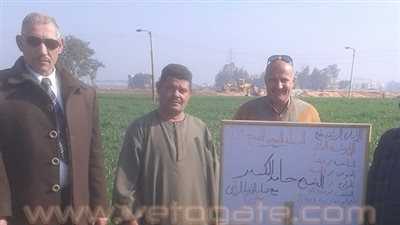 بالصور.. حملات إرشادية للمزارعين عن محصول القمح بطوخ