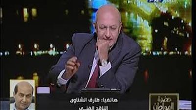 طارق الشناوي: 