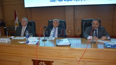 محافظ الوادي الجديد يوجه بالاستعداد لموسم حصاد القمح