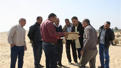 رئيس قطاع الآثار المصرية يتفقد موقع حفائر عرب نجم في المنيا