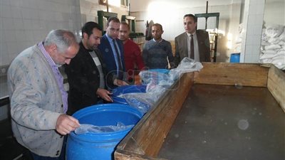 ضبط 5 أطنان مخلل غير صالح للاستهلاك الآدمي بكفر الشيخ (صور)