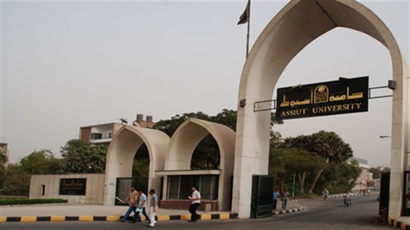 فيتو