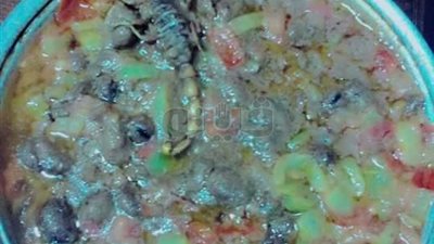 «فول محوج بطعم العقارب لطالبات جامعة أسيوط».. العثور على الحشرة السامة في وجبة العشاء.. مدير المدن الجامعية يفتح تحقيقا عاجلا في الواقعة.. ومشرفات التغذية:البلاغ «كيدي» والعقرب وصل